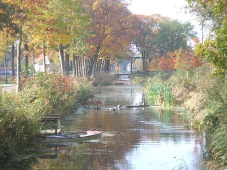 Griendtsveen : Ericaweg, Herbstimpressionen
